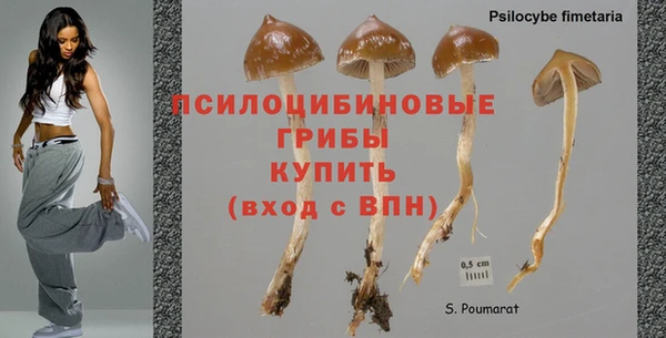 молекула духа Балахна