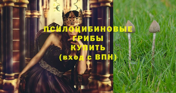 молекула духа Балахна